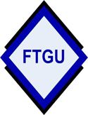 FTGU Medical Consulting LLC